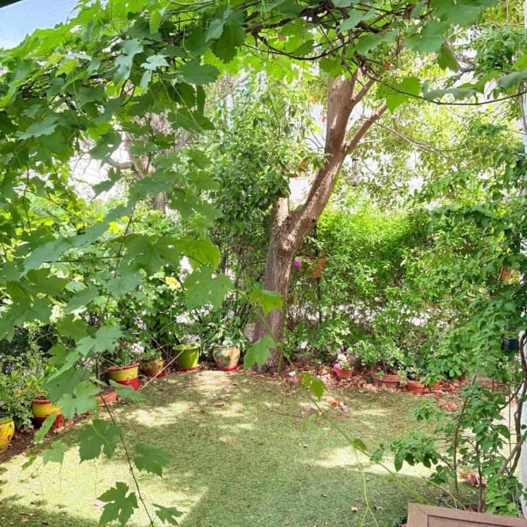 Un petit bout d espagne sous le soleil de St Cyprien - Ferienhaus - 22