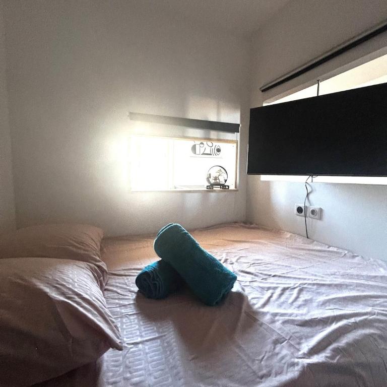 Le Vigan - Climatisation - Centre Ville - Appartement 1 Chambre - 8