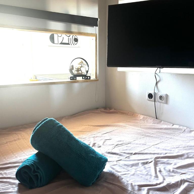 Le Vigan - Climatisation - Centre Ville - Appartement 1 Chambre - 10