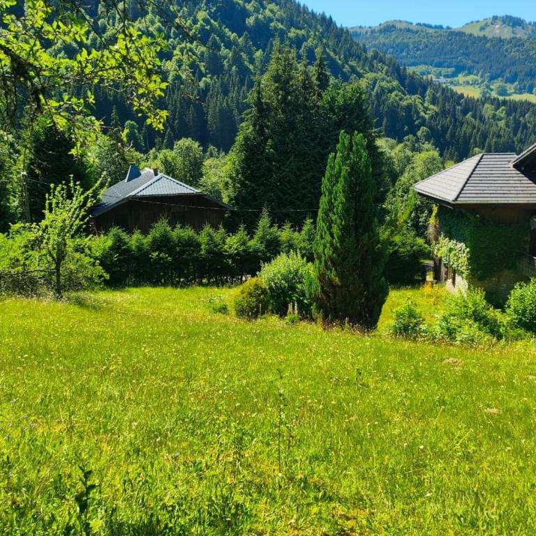 Alpine Chalet with Mountain Views and Hot Tub - Chalet - 2