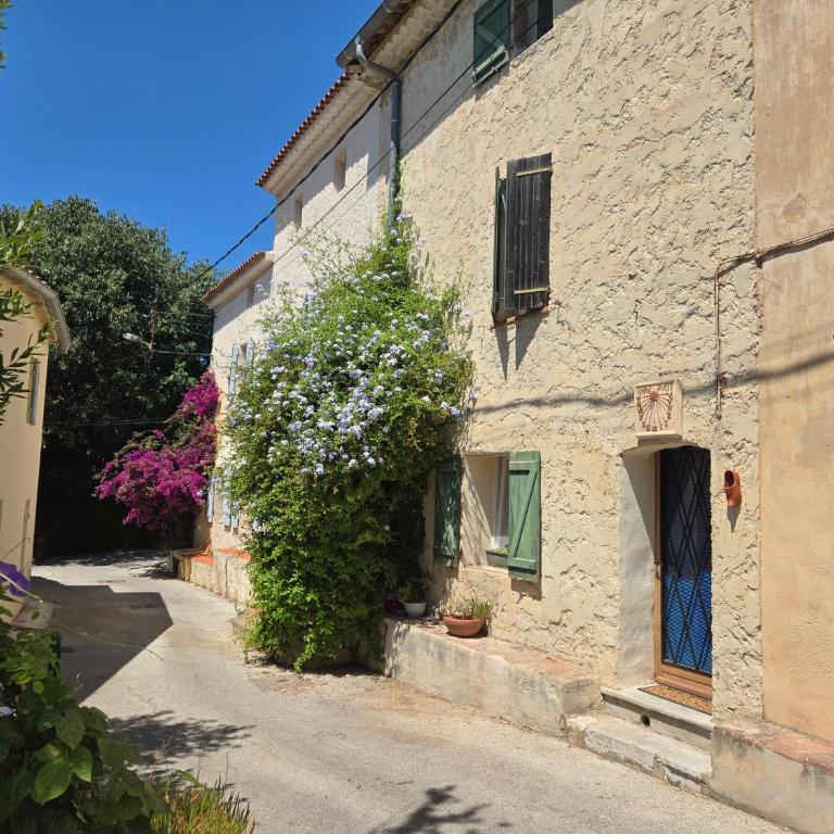 Bastide d'Estienne, la maison de Zazie - Maison 1 Chambre - 7