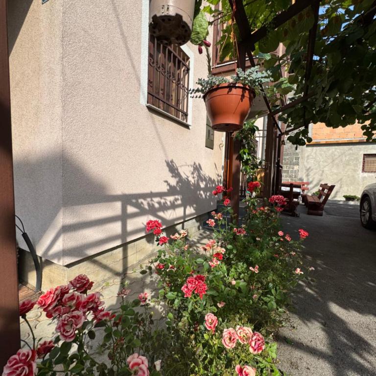 Vila Sarajevo - Kuća sa 4 Spavaće Sobe - 22