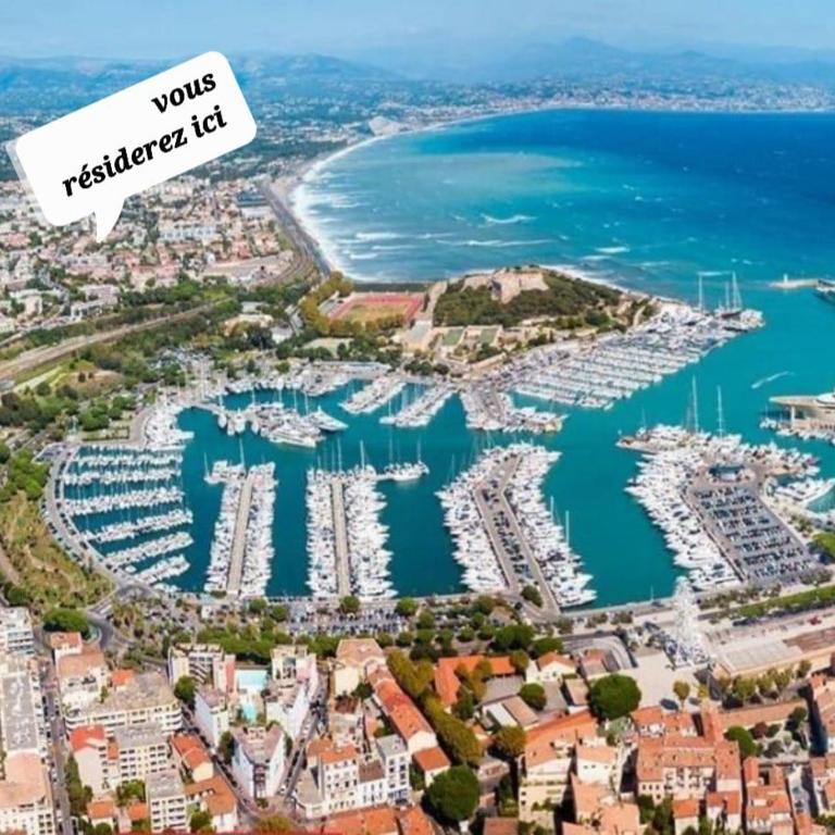 AntibesT2 2 pers sea pool terrac park 14 night min - Appartamento con 1 Camera da Letto - 7