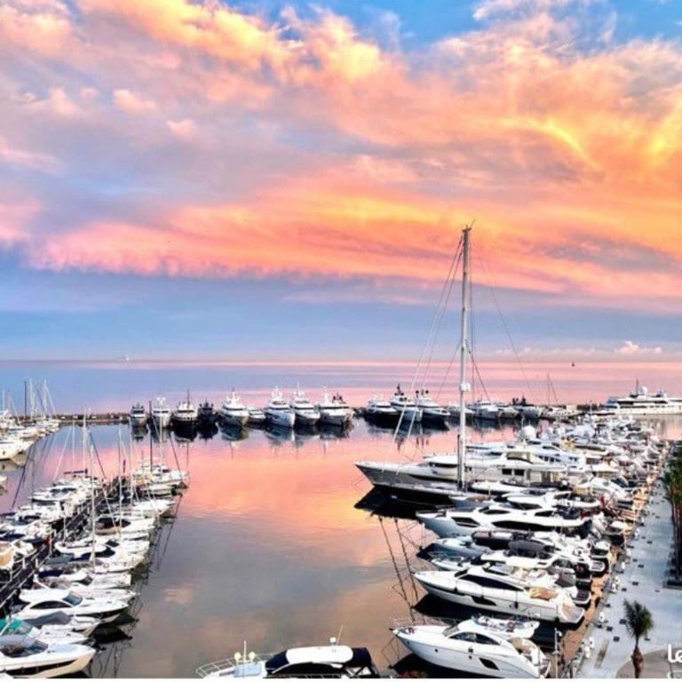 AntibesT2 2 pers sea pool terrac park 14 night min - Appartamento con 1 Camera da Letto - 8