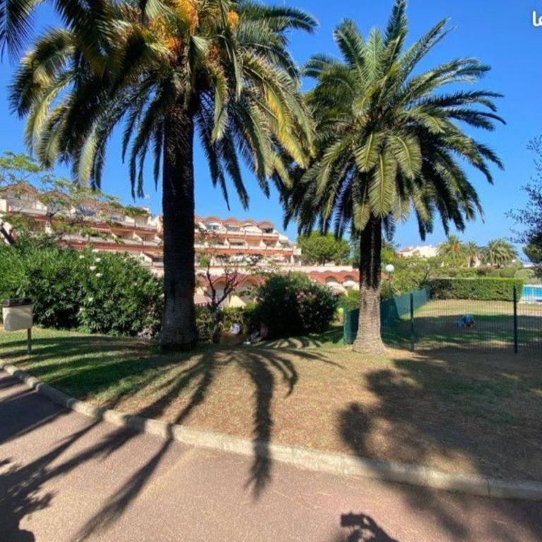 AntibesT2 2 pers sea pool terrac park 14 night min - Appartamento con 1 Camera da Letto - 16