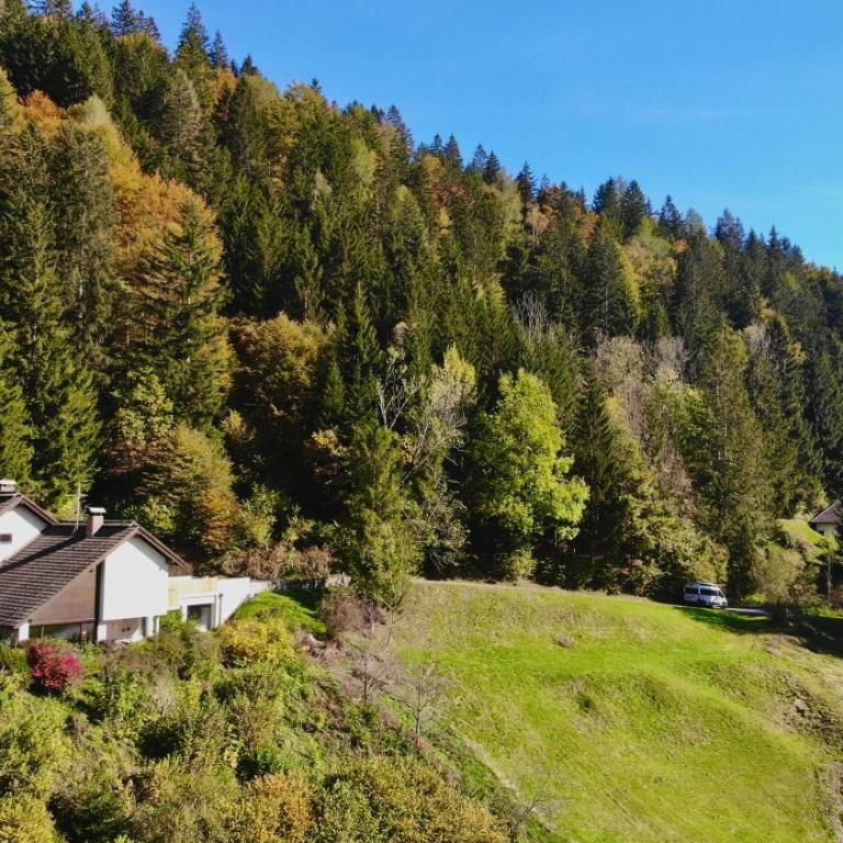 Haus König - Haus mit 3 Schlafzimmern - 1