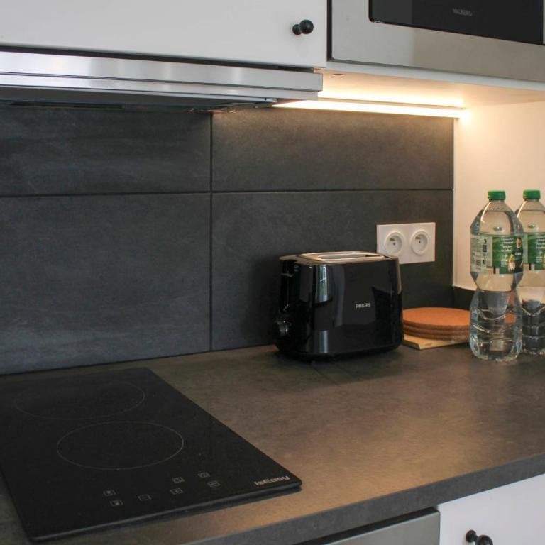 Charming studio with private terrace Paris 11th - Apartamento - 5