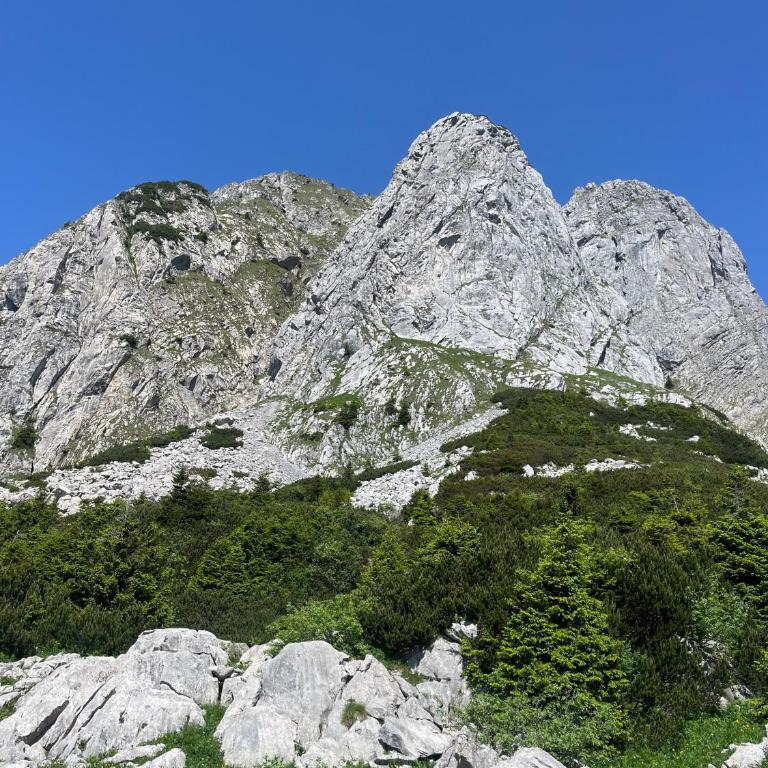 Appartment Isabelle - Kamille - Appartamento Superior con 1 Camera da Letto e Balcone - 43