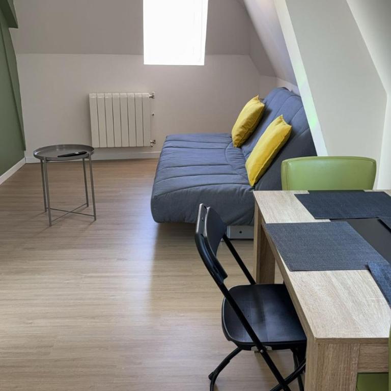 Appart'Village Le vieux Vichy centre T1,T2,T3 - Parking - Thermes - Appartamento Deluxe - 1