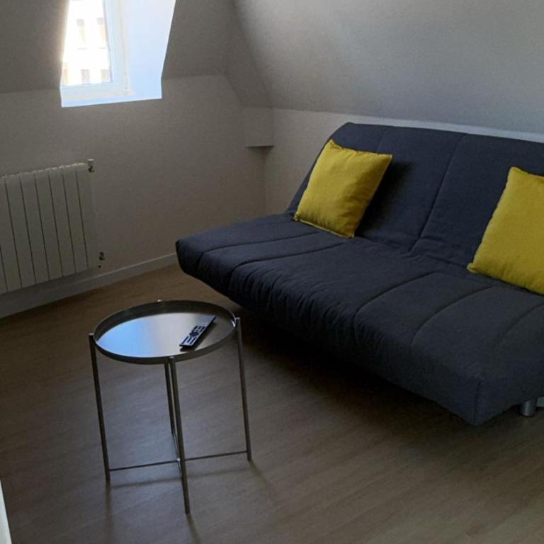 Appart'Village Le vieux Vichy centre T1,T2,T3 - Parking - Thermes - Appartamento Deluxe - 3