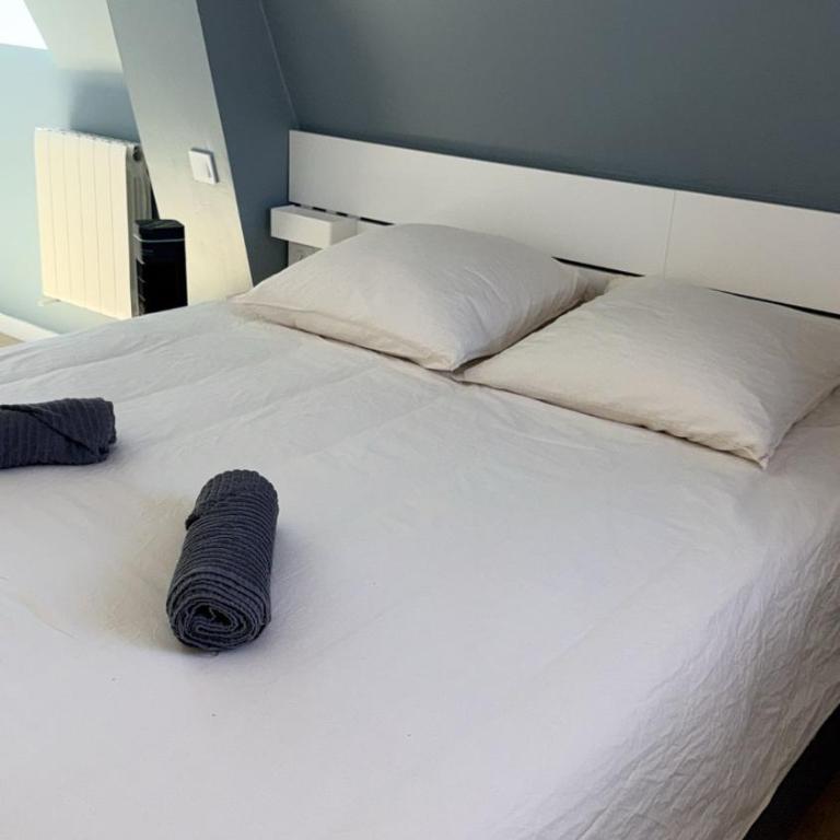 Appart'Village Le vieux Vichy centre T1,T2,T3 - Parking - Thermes - Appartamento Deluxe - 4