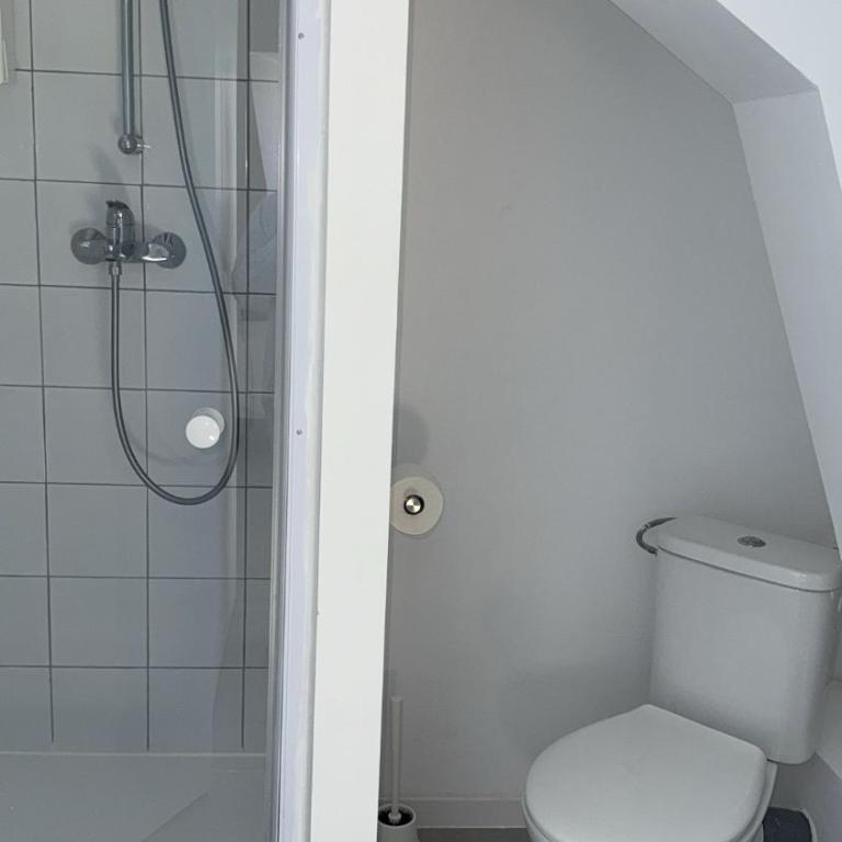 Appart'Village Le vieux Vichy centre T1,T2,T3 - Parking - Thermes - Appartamento Deluxe - 5