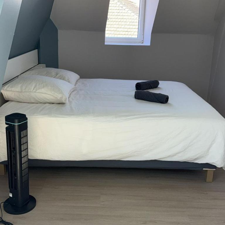 Appart'Village Le vieux Vichy centre T1,T2,T3 - Parking - Thermes - Appartamento Deluxe - 6