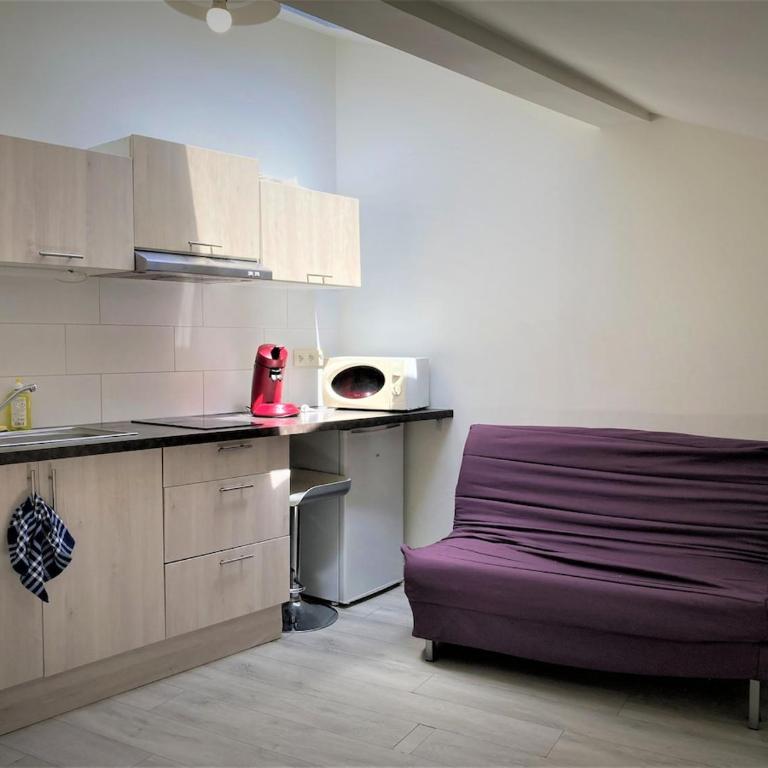 studio dans l'hypercentre de Limoges - Apartment mit 1 Schlafzimmer - 1