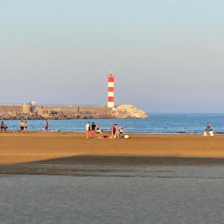 La Terrasse du Goéland, 50 m de la plage - Appartement 1 Chambre - 7