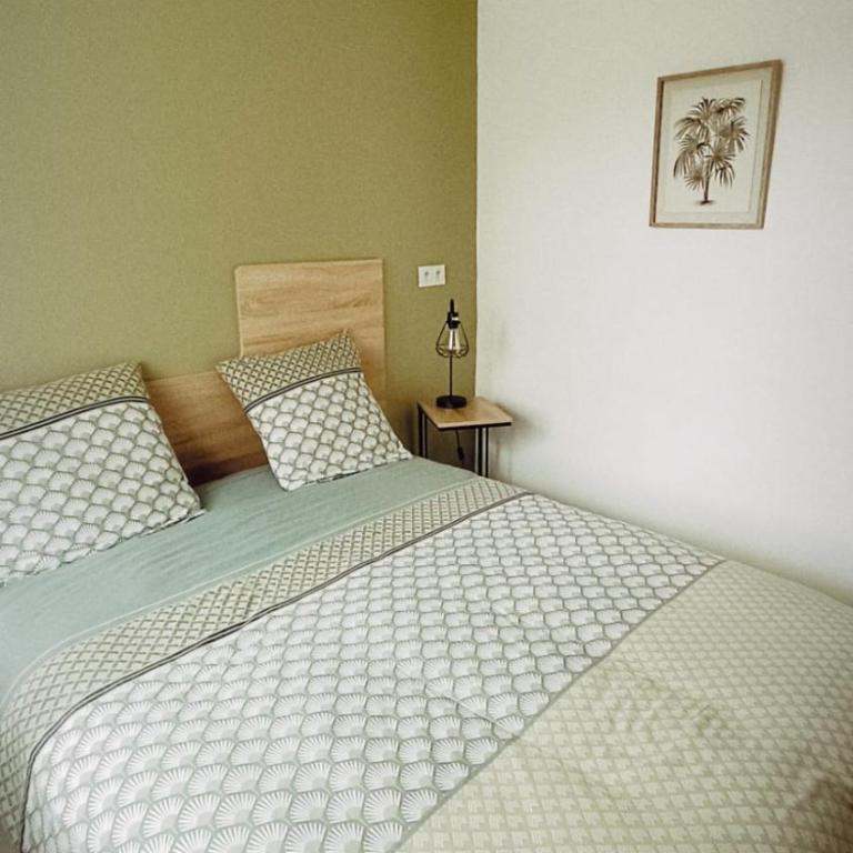Le Baptini - Appartement 2 Chambres - 9
