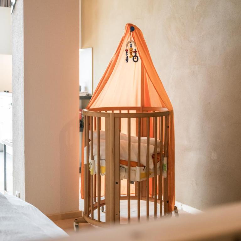 Profigl Eco Guesthouse - Sustainable living with a view in Südtirol, Brixencard, free parking - Appartamento con 1 Camera da Letto - 19