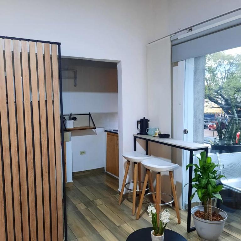 1 bedroom Flat, full kitchen, private bath - One-Bedroom Apartment - 3