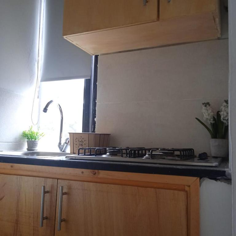 1 bedroom Flat, full kitchen, private bath - One-Bedroom Apartment - 5