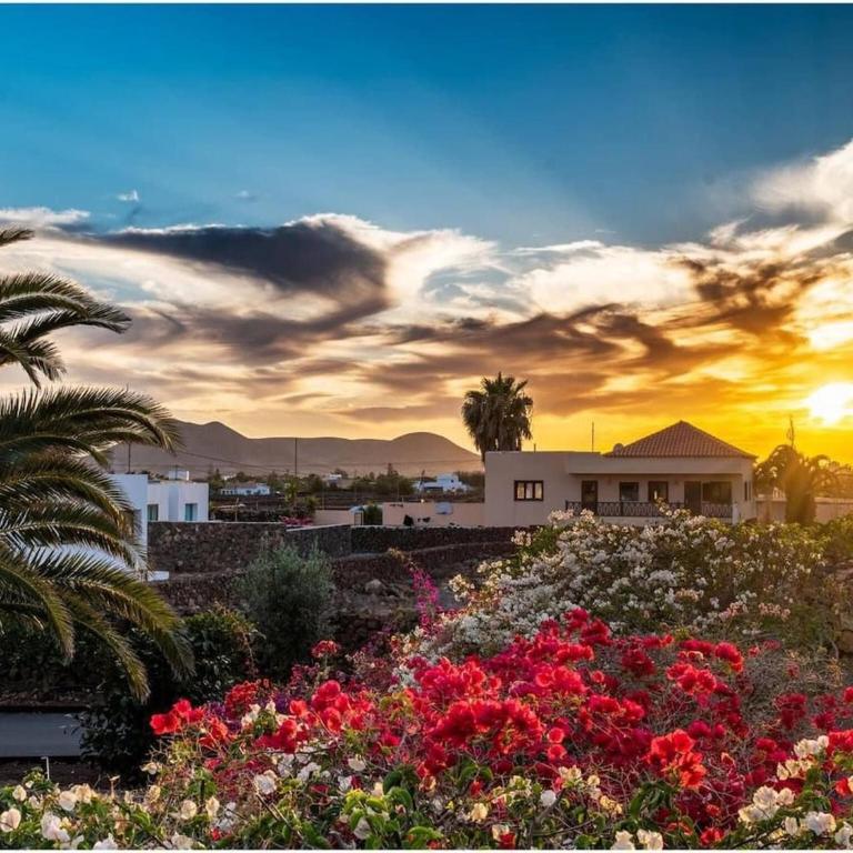 Modern 3-Bedroom Villa in Lajares with Private Pool - Ferienhaus - 24