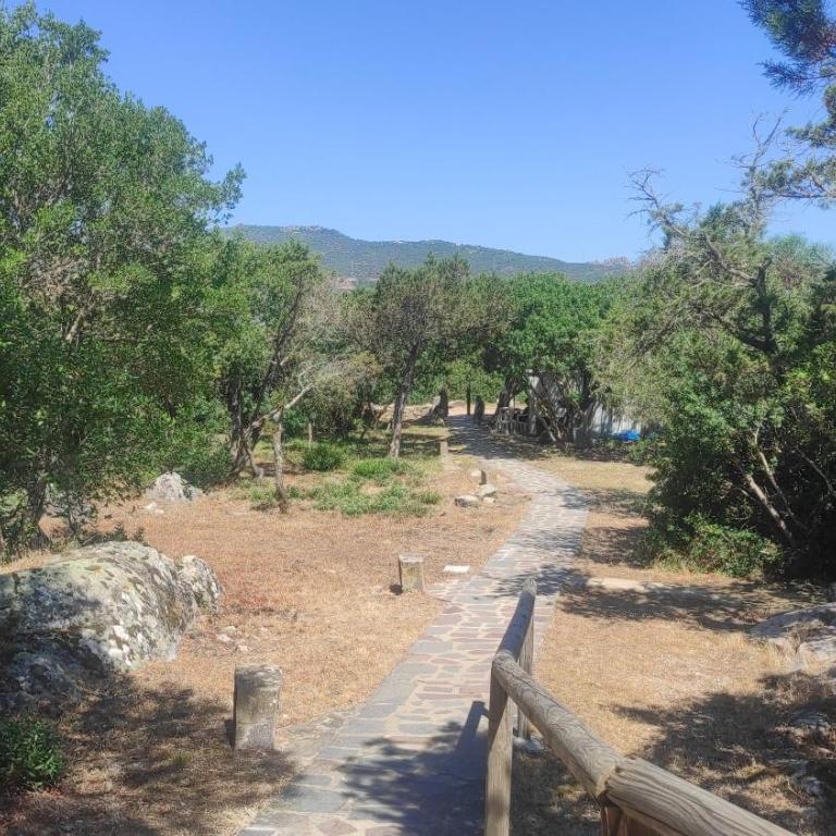 Sardinia Re - Sa Jaga Brujada 42a - Apartment - 7