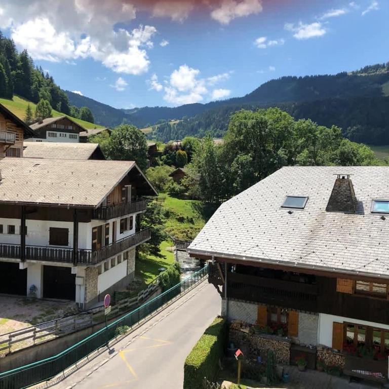 Walkable to Morzine On Bus Route Ski Apt - Apartment - 18