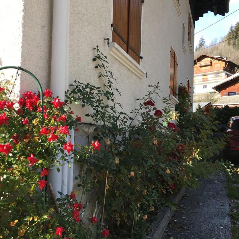 Walkable to Morzine On Bus Route Ski Apt - Apartment - 19
