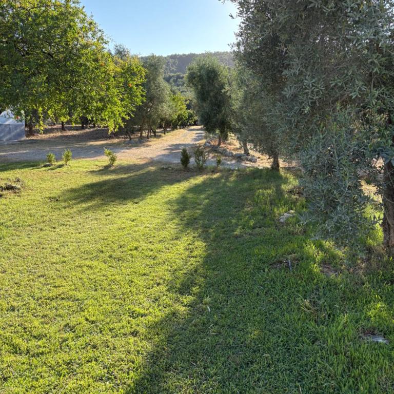 Casa colonica di campagna come era una volta - Casa con 1 Camera da Letto - 13