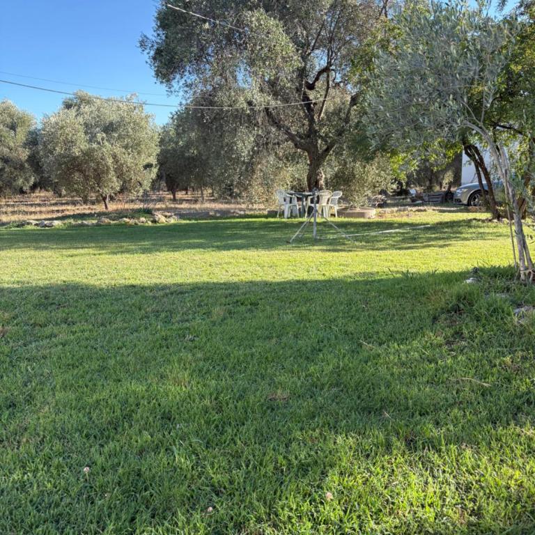 Casa colonica di campagna come era una volta - Casa con 1 Camera da Letto - 10