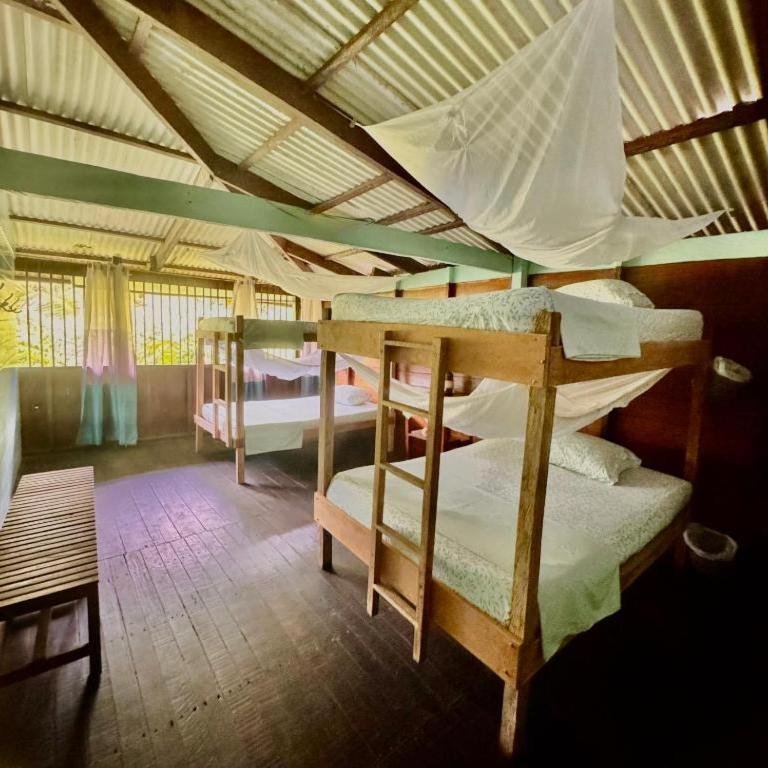 Refugio Mr Jerry Eco House - Cama en habitación compartida mixta de 4 camas - 3