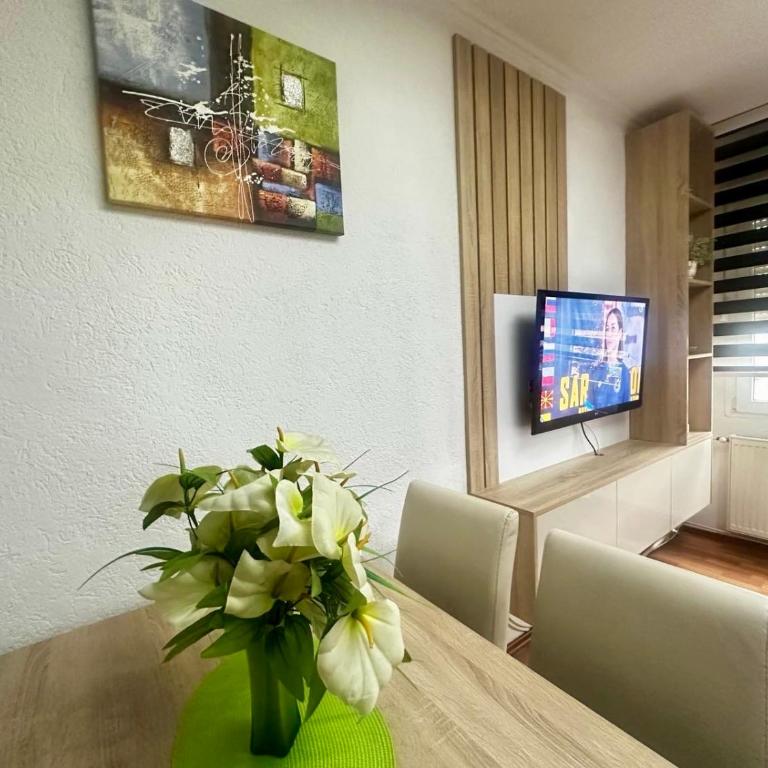 Zigana Apartments - Apartman sa 2 Spavaće Sobe - 15