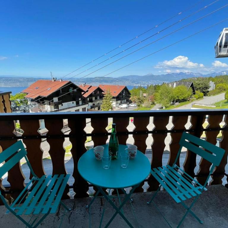 L'igloo du Léman - Appartement 1 Chambre - 1