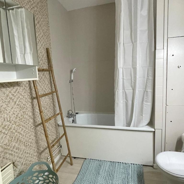 Cozy appartement 41 m2 Saint Etienne lumineux , Balcon et Ascenseur - Apartment mit 1 Schlafzimmer - 7