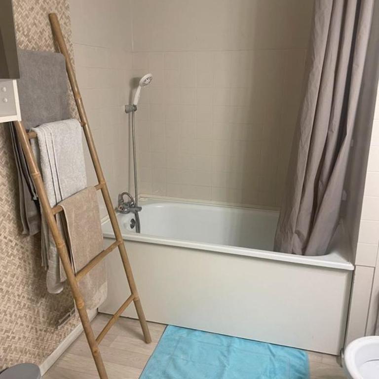 Cozy appartement 41 m2 Saint Etienne lumineux , Balcon et Ascenseur - Apartment mit 1 Schlafzimmer - 9