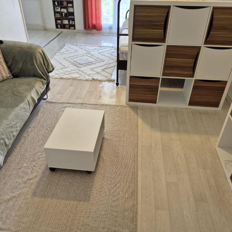 Cozy appartement 41 m2 Saint Etienne lumineux , Balcon et Ascenseur - Apartment mit 1 Schlafzimmer - 15
