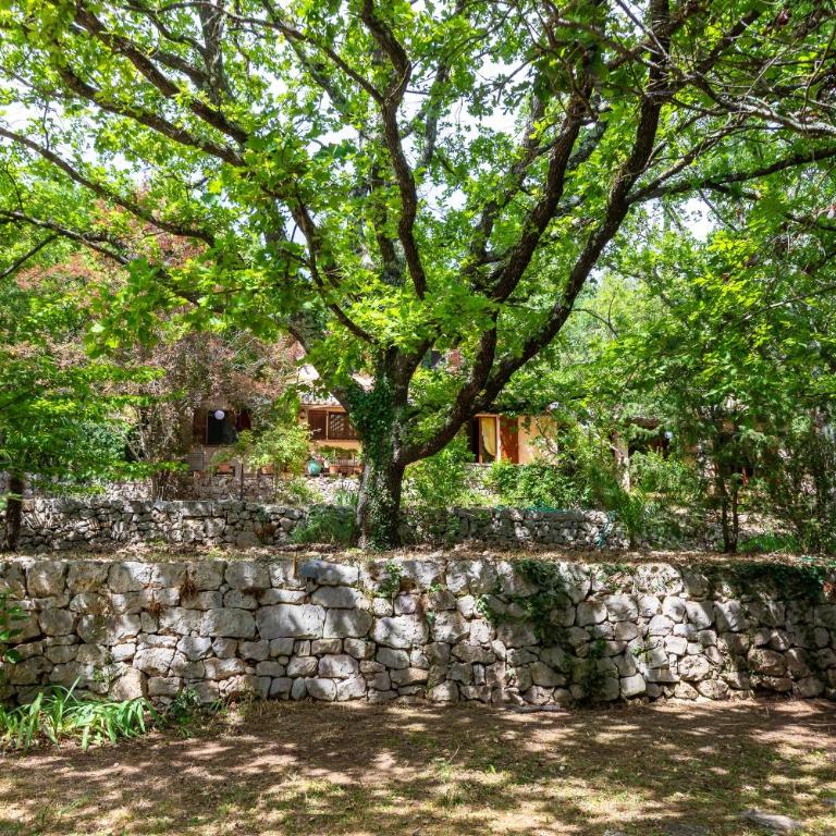 Le Mas du Prignon - Jolie maison avec piscine - Maison de Vacances - 15