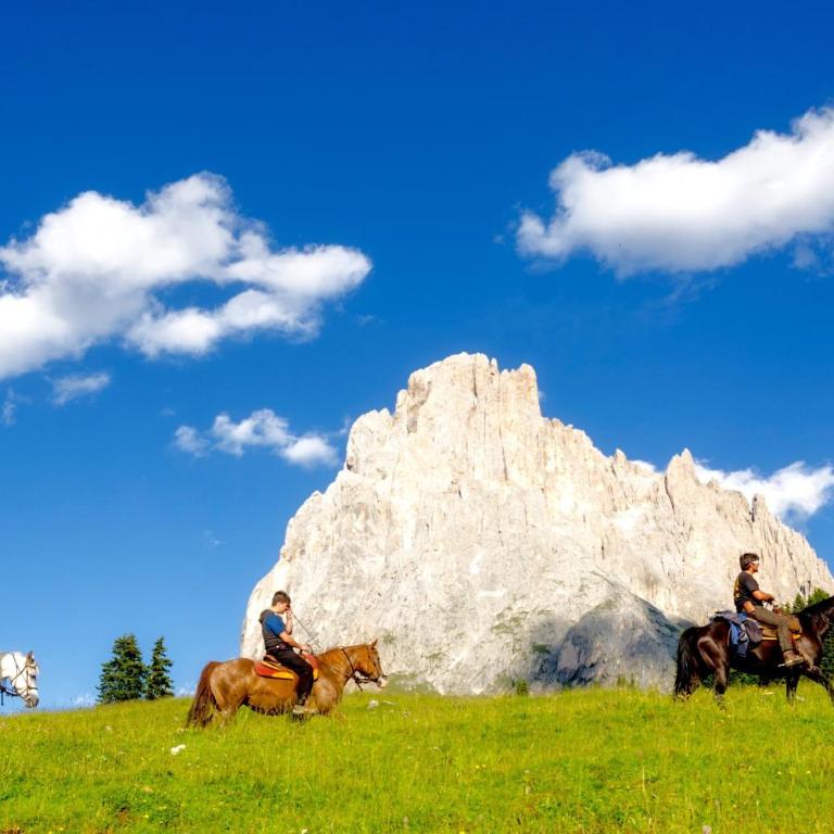 Niuasi Dolomites Panorama - Appartamento Deluxe con 2 Camere da Letto e Vista Giardino - 31