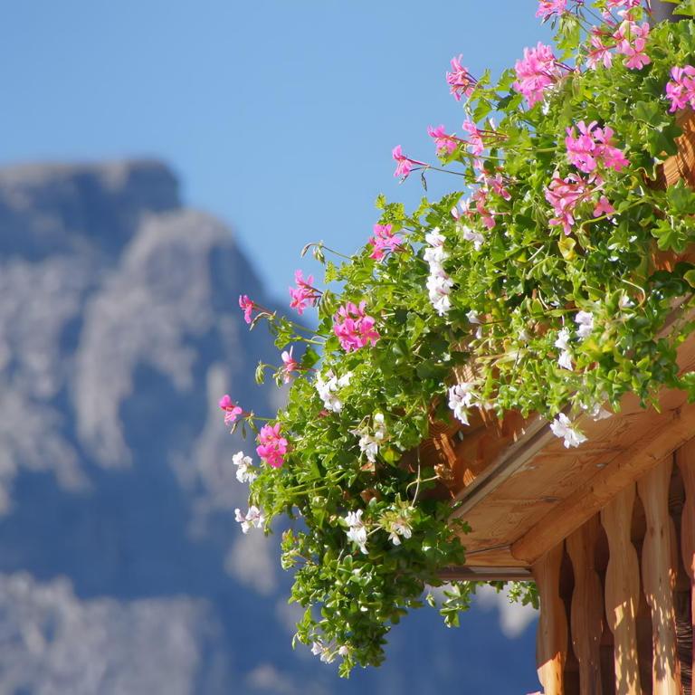 Agriturismo Grones - Appartamento Superior con 1 Camera da Letto e Balcone - 7