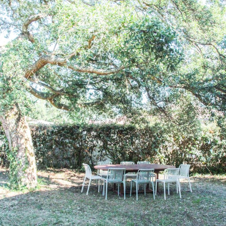 Maison familiale Moliets avec jardin, proche plage et golf - Maison 4 Chambres - 31