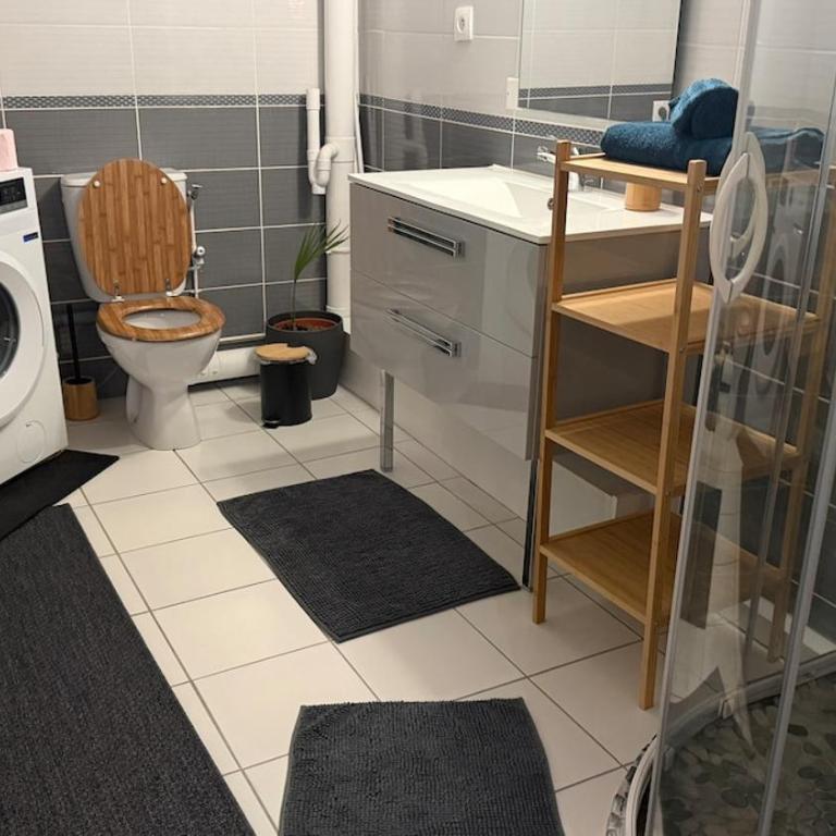 Le Cocon Reimois - Appartement 1 Chambre - 5