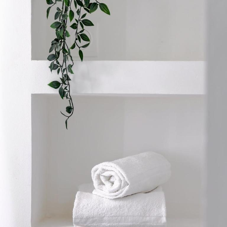 BnBNova - Charming Studio - Jardin du Luxembourg & Le Bon Marché - Studio - 24