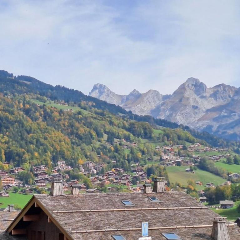 Bright studio in the heart of Le Grand-Bornand - Studio - 10