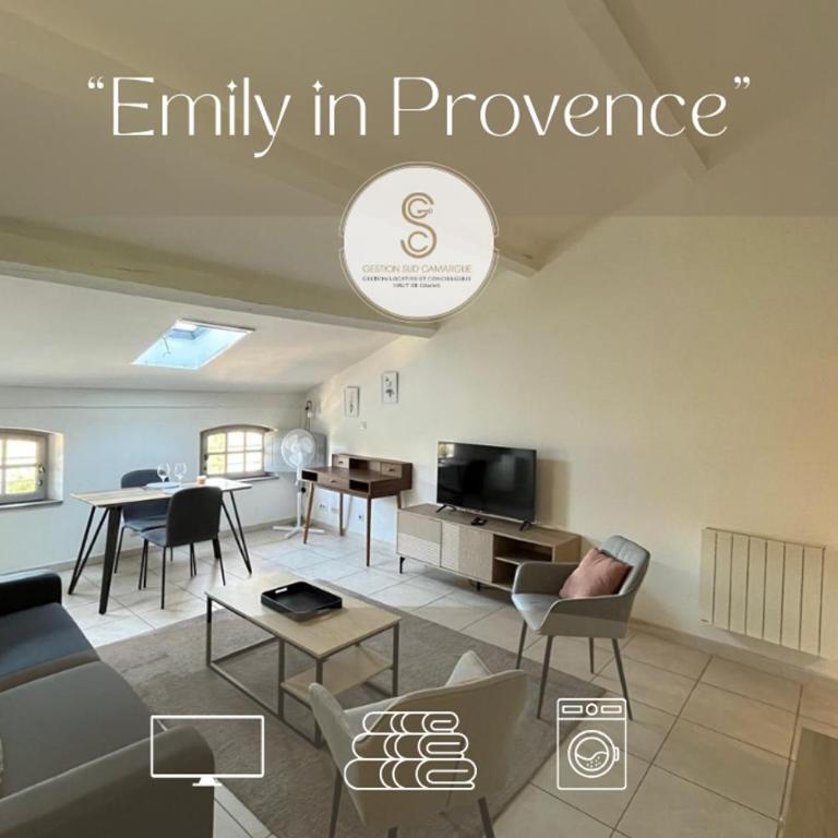 Emily in Provence Arles Centre - Appartement 1 Chambre - 6