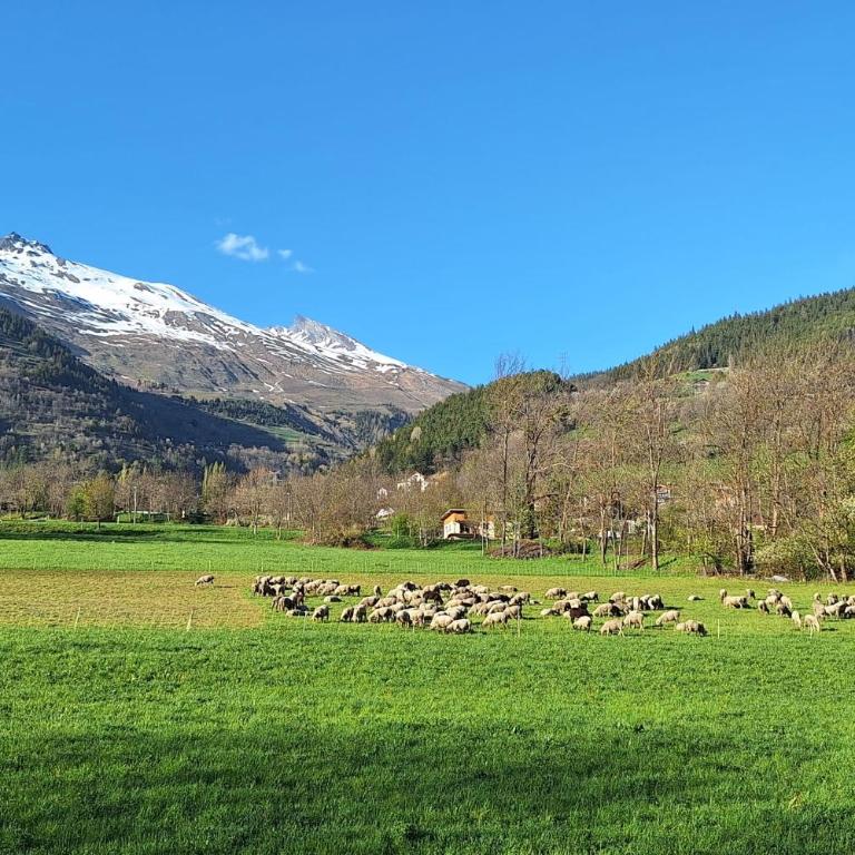 Chalet moderne calme & vue Séez - La Rosière - Chalet - 21