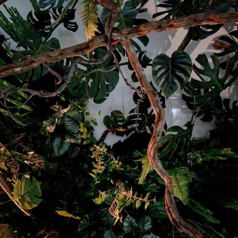L'Amazonia - Jungle Love Room - Apartment mit 1 Schlafzimmer - 22