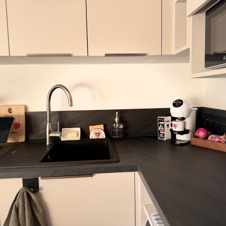 Studio chaleureux au coeur des Carroz - Appartement 1 Chambre - 2
