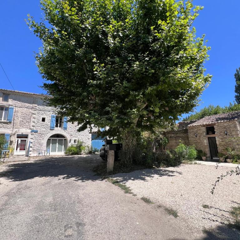Mazet en Provence - Appartement 1 Chambre - 12