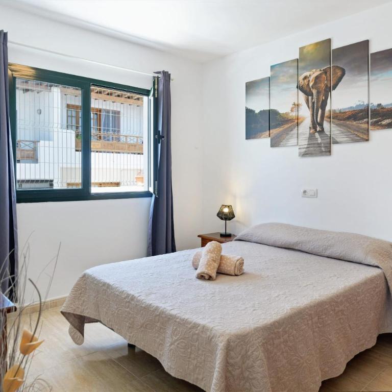 Apartamentos Bellavista - Appartement - 7
