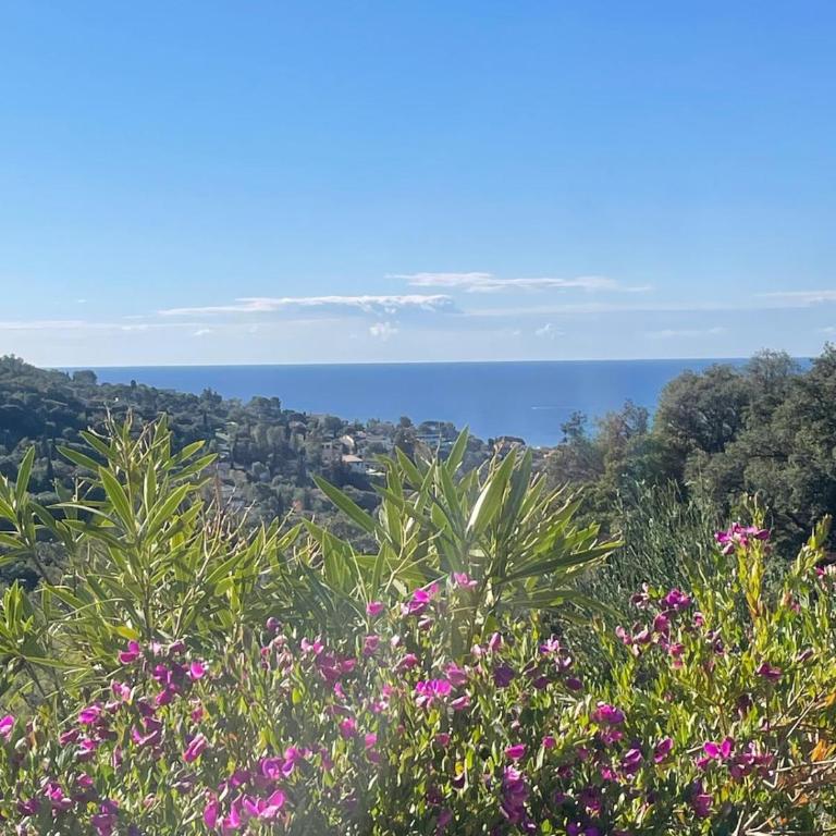 Villa Comtesse du Sud, traumhafte Unterkunft mit Privatpool by Riviera Homelife Management - Maison de Vacances - 11