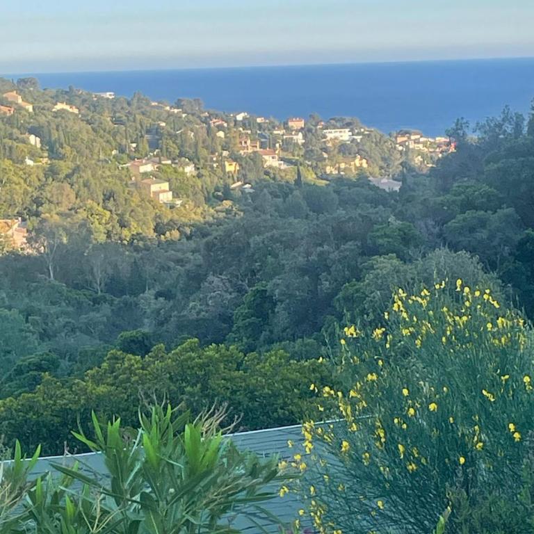 Villa Comtesse du Sud, traumhafte Unterkunft mit Privatpool by Riviera Homelife Management - Maison de Vacances - 12
